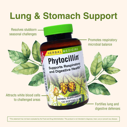 Herbs Etc. Phytocillin: Respiratory & Digestive Health Support | 120 Softgels