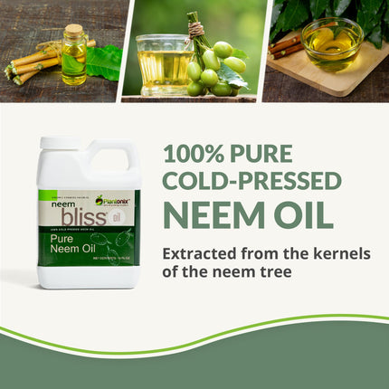 Neem Bliss (64 Fl Oz) – Pure Cold-Pressed Neem Oil by Plantonix
