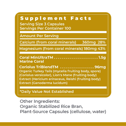 Premier Research Labs Calcium Magnesium Plus – Calcium Magnesium Supplement with Mushroom Complex | 300 Vegetarian Capsules