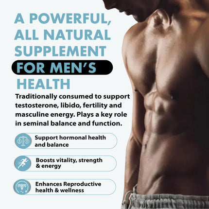 Primal Being Grassfed Beef Testes Capsules – NZ Sourced, 2,000 mg per Serving, 120 Capsules