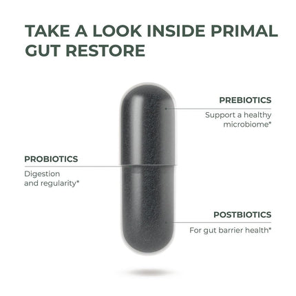Primal Harvest Restore Gut Health – PRE/PRO/Postbiotics, 60 CT | Digestive Support for Women & Men