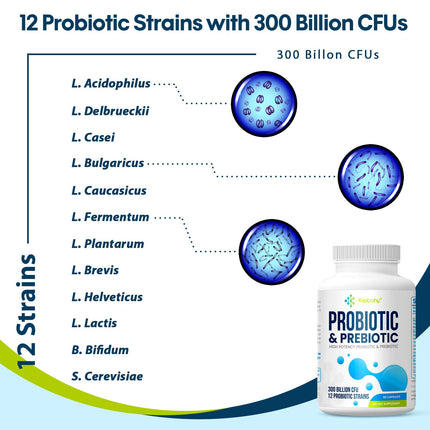 Probiotics for Women & Men | 300B CFU + Organic Prebiotics | 120 Caps