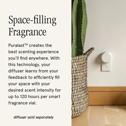 Pura & Aromatique Home Scent Refill - Pumpkin Spice, 2-Pack | 120-Hour Smart Diffuser Fragrance