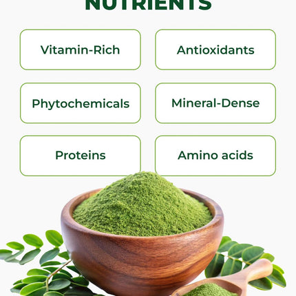 PURA VIDA Moringa Powder Organic – Single Origin Moringa Leaf Powder (USDA Organic) 8 oz