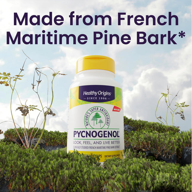 Healthy Origins Pycnogenol 150 mg - French Maritime Pine Bark Extract (Vegan, Non-GMO)