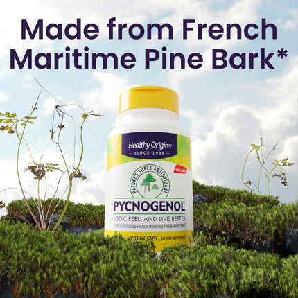 Healthy Origins Pycnogenol 100 mg – Pine Bark Extract, Non-GMO, 60 Veggie Caps