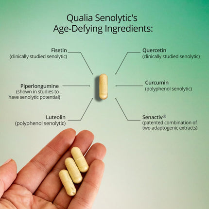 Qualia Senolytic Ultimate Formula for Enhanced Cell Repair & Rejuvenation — 2-Day Aging & Longevity Support (Pack of 4) | QUALIA LIFE SCIENCES