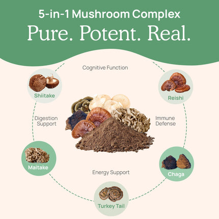 Real Mushrooms 5 Defenders Mushroom Complex Powder – Organic 5-Mushroom Blend, 100 Servings