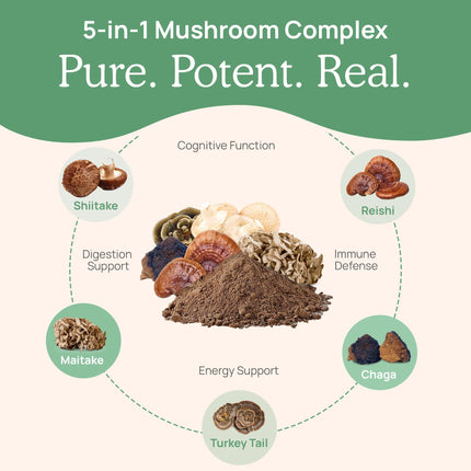Real Mushrooms 5 Defenders Mushroom Complex – 5-Mushroom Beta Glucans (45 Servings)