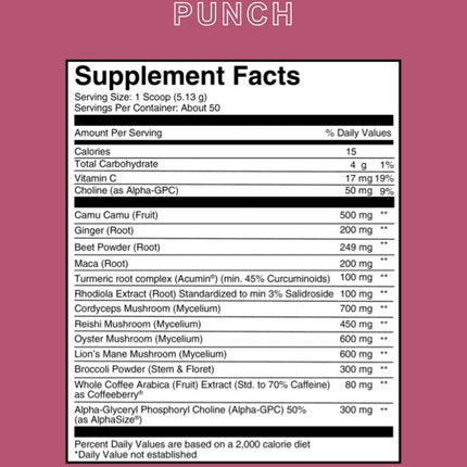 Roots Focus Nootropic Brain Supplement by Silver Star Nutrition – Fruit Punch, 50 Servings