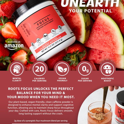 Roots Focus Nootropic Brain Supplement by Silver Star Nutrition – Fruit Punch, 50 Servings