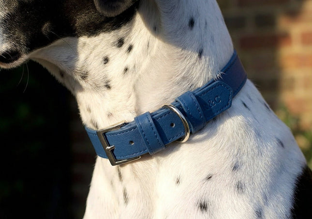 Royal Blue Lignify Dog Collar
