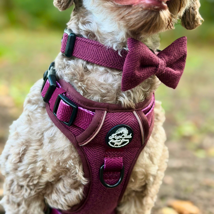 Rugged Rover™ Harness - Berry Tweed