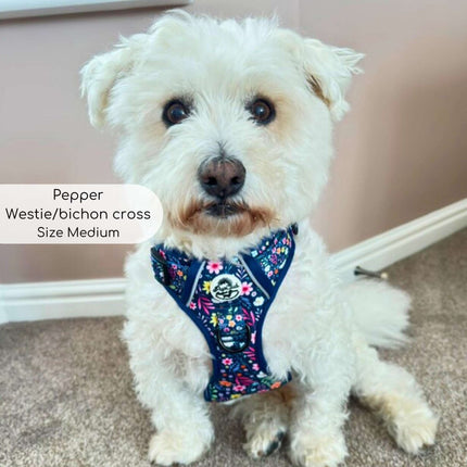 Rugged Rover™ Harness - Summer Meadow