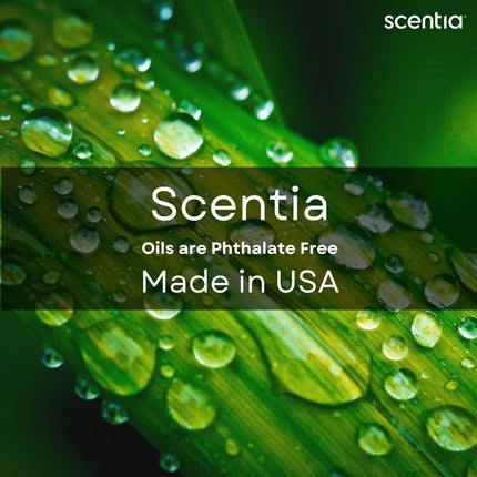 Scentia Escapade Hotel Diffuser Oil – 50ml | Jasmine, Bergamot & Marine Notes | Thanksgiving Gift