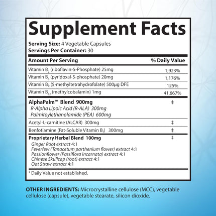 SciatiEase Sciatic Nerve Health Support Supplement | AlphaPalm, Pea, B-Complex, 300mg Alpha Lipoic Acid | 6 Bottles