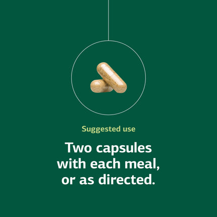 Standard Process Senaplex - Nervous System Support, Brain Health | 90 Capsules