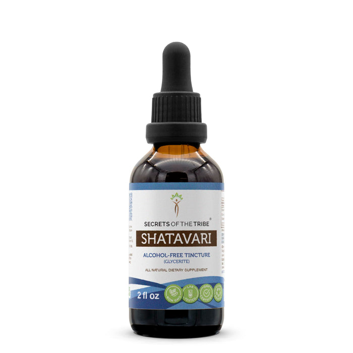 Shatavari Alcohol-Free Liquid Extract – 2 fl oz (Asparagus Racemosus)