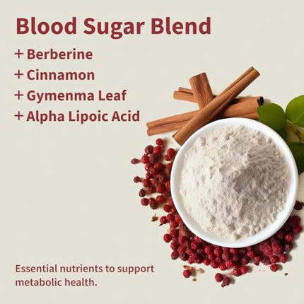 Snap Supplements Blood Sugar Blend — CoQ10, Cinnamon, Gymnema, Alpha Lipoic Acid, Sugar Free, 60 Capsules, 2 Pack