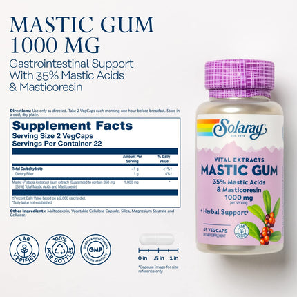 Solaray Mastic Gum Extract 500 mg - 45 Count | Digestive Health