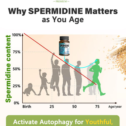 Spermidine & Fisetin Supplement – 20mg Spermidine, 300mg Fisetin | 90 Veggie Caps | Made in USA
