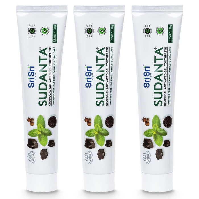 Sri Sri Tattva Sudanta Charcoal Toothpaste Gel – SLS & Fluoride Free Herbal Toothpaste (100g Tube, Pack of 3)