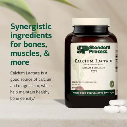 Standard Process Calcium Lactate – Bone & Immune Health Support | Vegan, Gluten-Free, Non-Dairy | 360 Tablets