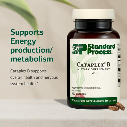 Standard Process Cataplex B – Whole-Food B-Complex for Heart, Metabolism & Cholesterol Support | 360 Tablets