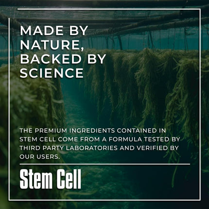 Premium Stem Cell Supplements 1,000mg (360 Caps) – Immunity, Joint Support & Anti-Aging | Spirulina & Chlorella