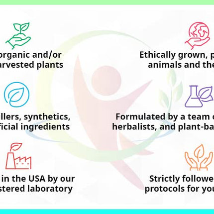 StemAlive - Promotes Stem Cell Nutrition, Function & Health, 90 Capsules, from 100% Natural Sources