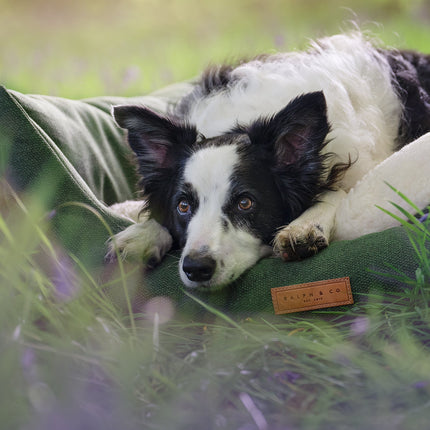 THE RICHMOND | LUXURY GREEN BOLSTER DOG BED