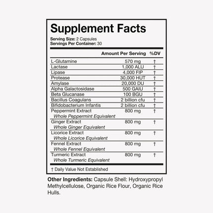 Terra Health Essentials Bloat Control | Fast-Acting No Bloat Relief with Digestive Enzymes & Probiotics