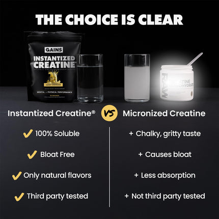Gains in Bulk Instantized Creatine Monohydrate – Soluble, No Bloat, 30 Servings