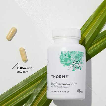 THORNE Resveratrol Complex – Trans-Resveratrol with Green Tea, Quercetin & Curcumin Phytosome (60 Caps) – Third-Party Certified