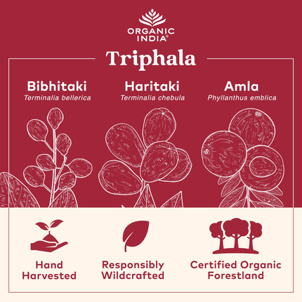 Organic India Triphala Capsules - Digestive & Immune Support, 180 Capsules