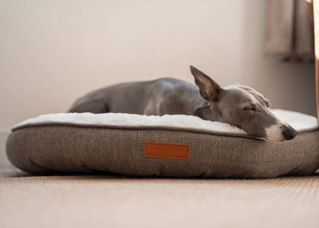 THE LINCOLN | LUXURY TWEED CALMING DONUT DOG BED