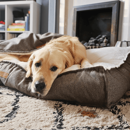 THE LINCOLN | LUXURY TWEED FLAT PILLOW DOG BED