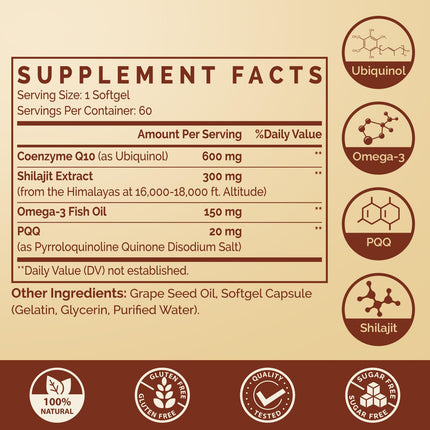 Ubiquinol CoQ10 600 mg Softgels – Dual-Delivery with Omega-3, Shilajit & PQQ, 120 Servings
