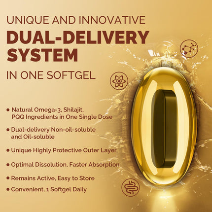 Ubiquinol CoQ10 600 mg Softgels – Dual-Delivery with Omega-3, Shilajit & PQQ, 120 Servings