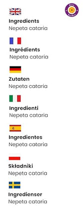 dève herbes Catnip Essential Oil (Nepeta cataria) 5ml with Glass Dropper – Pure & Steam Distilled