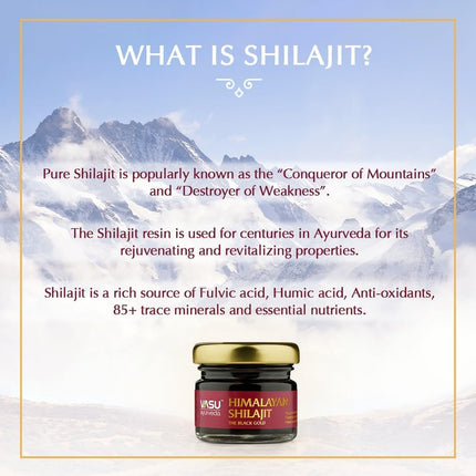 VASU Ayurveda Himalayan Shilajit Resin 400mg – Lab Tested Energy Booster (2-Pack)