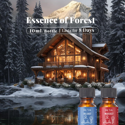 VEDA TINDA SCENT: Waterless Diffuser with Hotel Essential Oils – Luxury Home Fragrances