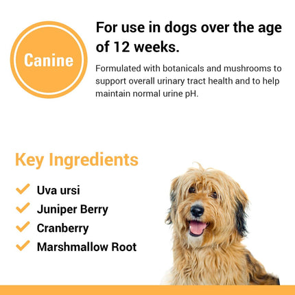 Vet Classics Urinary Tract Dog Supplement – Cranberry Chewable Tablets 120 Ct
