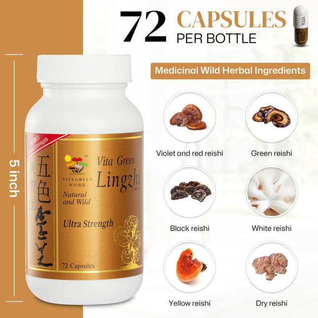 Vita Green Lingzhi Mushroom Capsules – Pure Reishi with Natural Antioxidants for Wellness, Energy & Immune Support – 72 Capsules