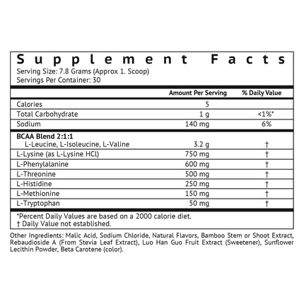 VitaMonk Clean EAA - EAAs with No Artificial Sweeteners for Pre-Workout, Energy and Recovery - Max Bioavailable EAA Powder with 9 Essential Amino Acids - Natural Lemonade Flavor