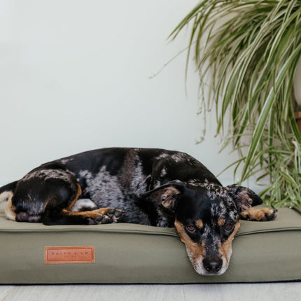 Waterproof & Memory Foam Dog Bed With Removable Covers | Henley