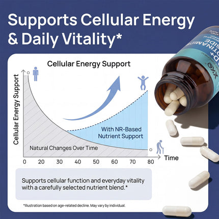 XKQ NAD+ Supplement 910mg – 60 Servings | Nicotinamide Riboside for Energy & Healthy Aging