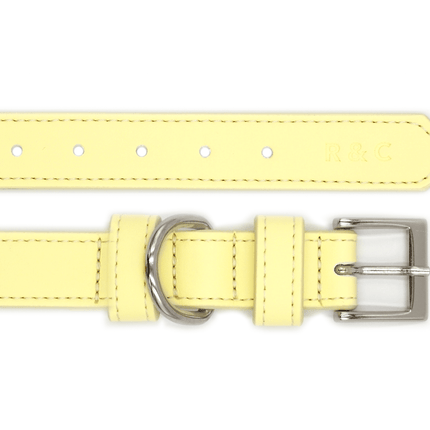 Yellow Lignify Dog Collar