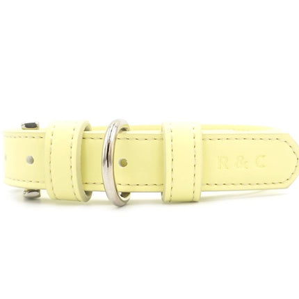 Yellow Lignify Dog Collar
