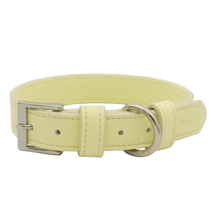 Yellow Lignify Dog Collar